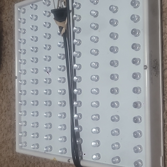 Glow panel LED Grow light - Picture 4 of 5